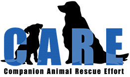 C.A.R.E. - Companion Animal Rescue Effort