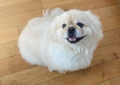 Max